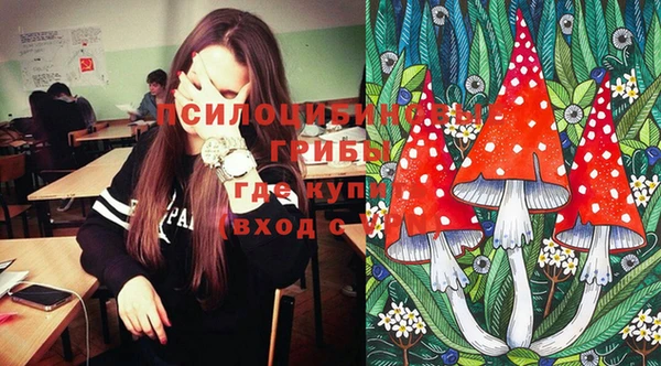 mix Абаза