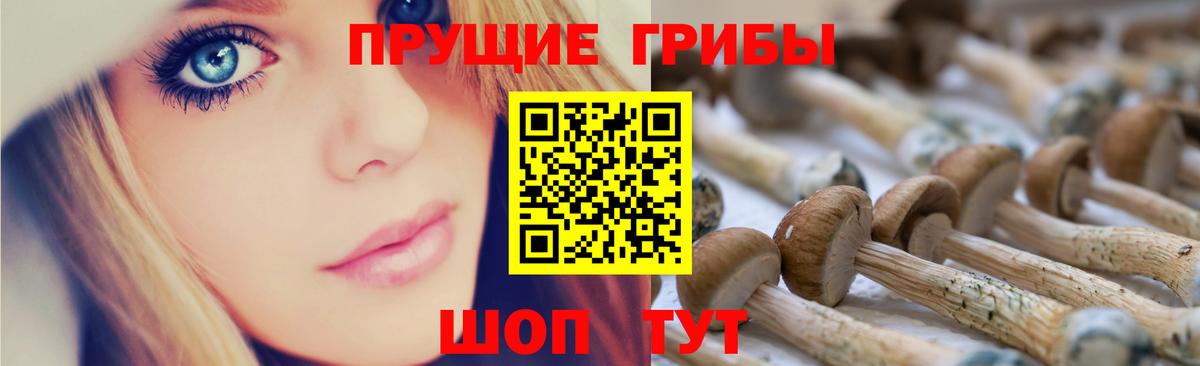 Галлюциногенные грибы Psilocybine cubensis  Вход с VPN  Алатырь  Псилоцибиновые грибы GOLDEN TEACHER 